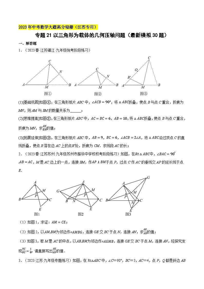 中考数学大题高分秘籍【江苏专用】专题21以三角形为载体的几何压轴问题(最新模拟30题)(原卷版+解析)第1页