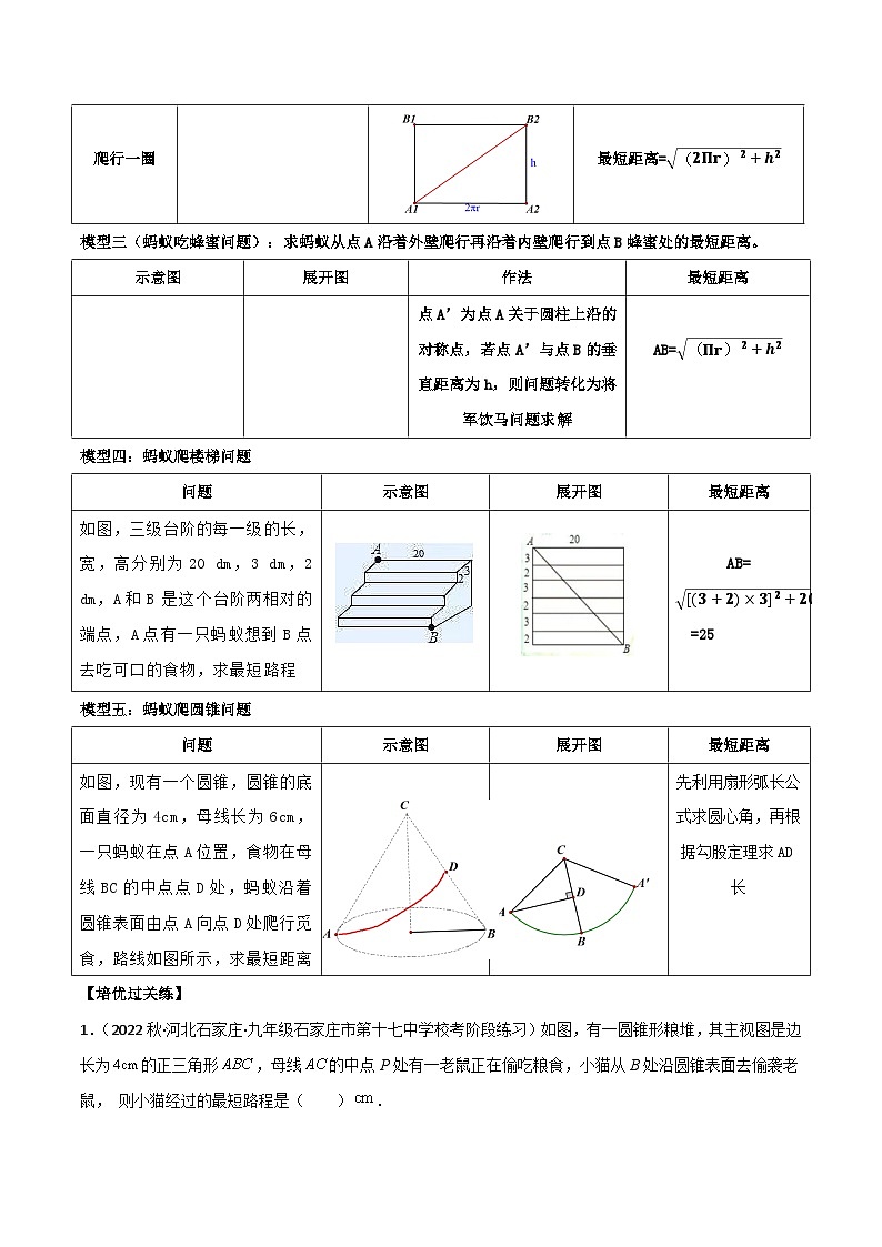 中考数学一轮复习满分突破(全国通用)专题20蚂蚁爬行模型(原卷版+解析)第2页