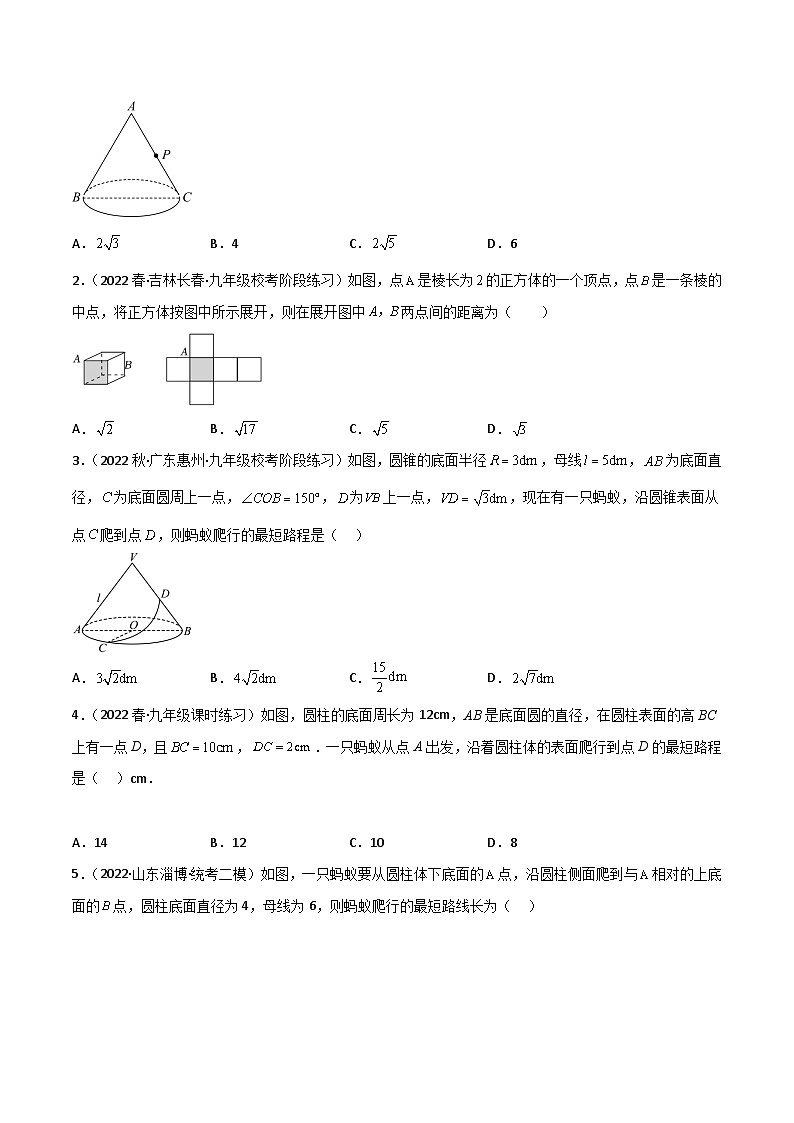中考数学一轮复习满分突破(全国通用)专题20蚂蚁爬行模型(原卷版+解析)第3页