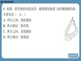 2024-2025学年度北师版七上数学4.1线段、射线、直线（第二课时）【课外培优课件】