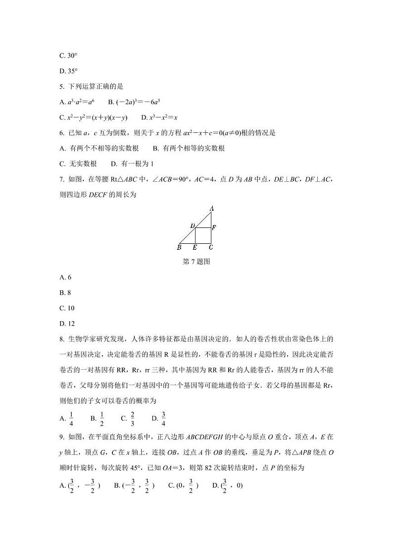 2024中考数学复习 河南模拟试题白卷 (含详细解析)第2页