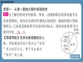 2024-2025學(xué)年度北師版七上數(shù)學(xué)-專題6-從多種統(tǒng)計(jì)圖中獲取信息【課件】