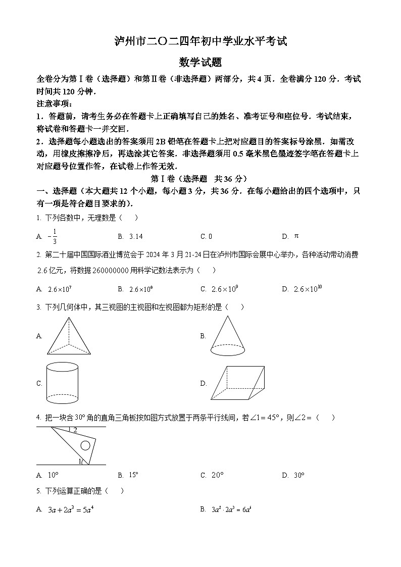 2024年四川省泸州市中考数学试题01