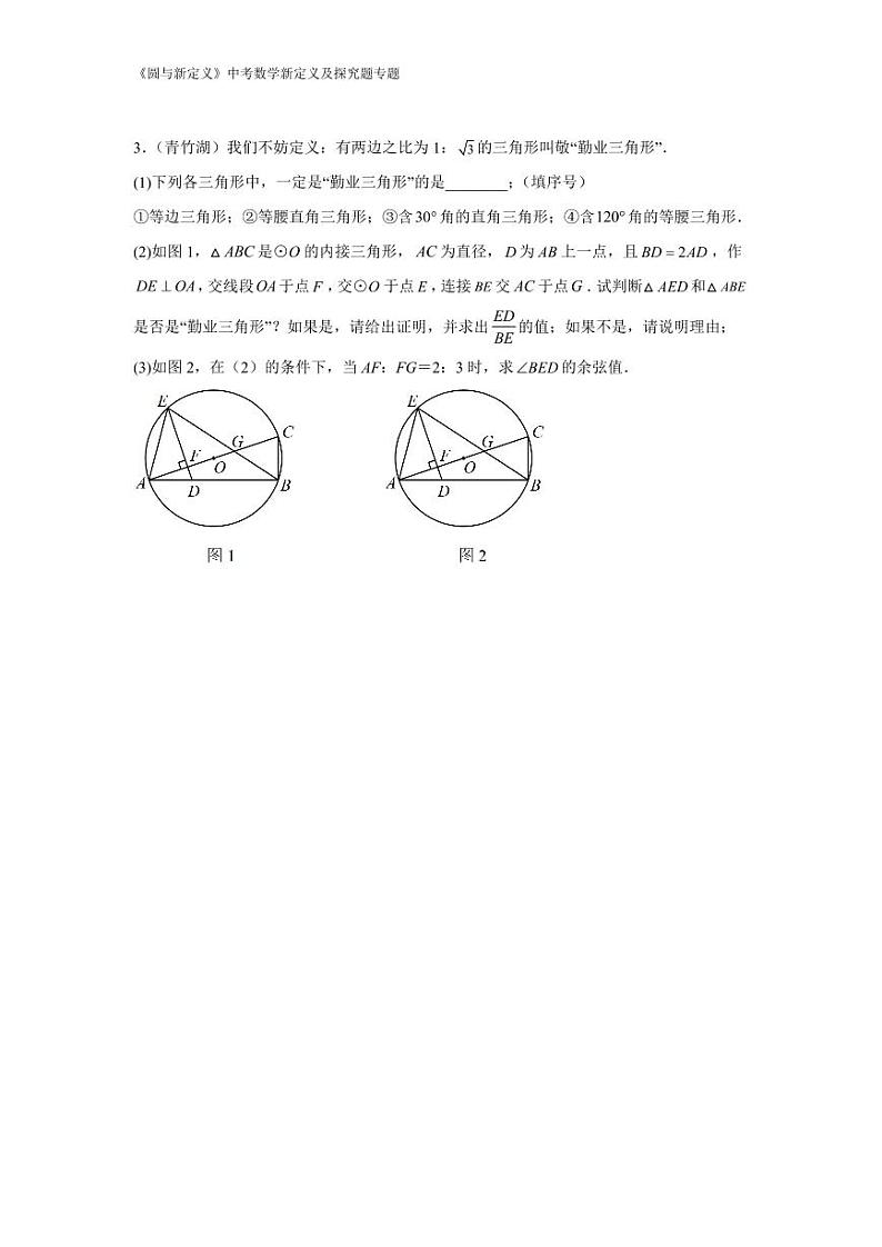 2024中考数学新定义及探究题专题 《圆与新定义》 （含解析）第3页