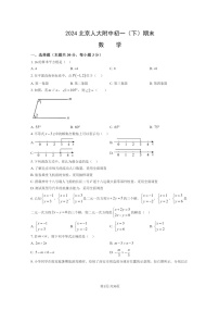 [数学][期末]2024北京人大附中初一下学期期末数学试卷及答案