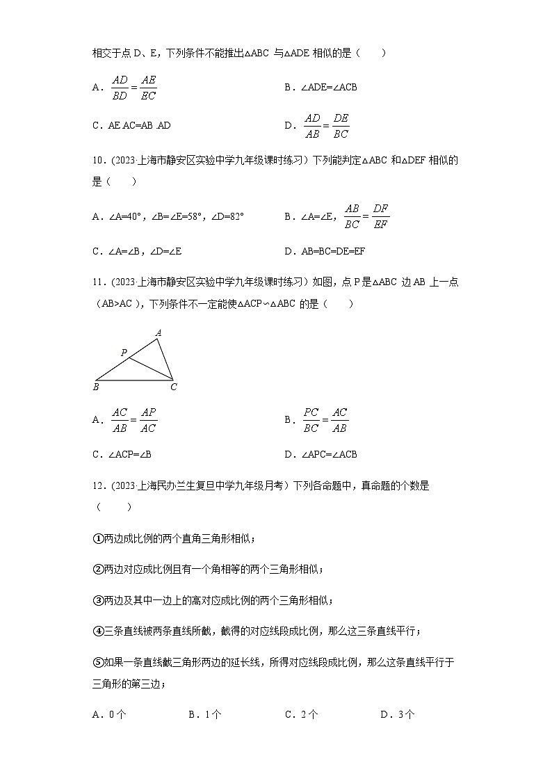 沪教版九年级上册数学专题训练专题03相似三角形的判定重难点专练(原卷版+解析)第3页