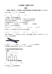 甘肃省武威市凉州区凉州区洪祥镇九年制学校2023-2024学年七年级下学期期末数学试题