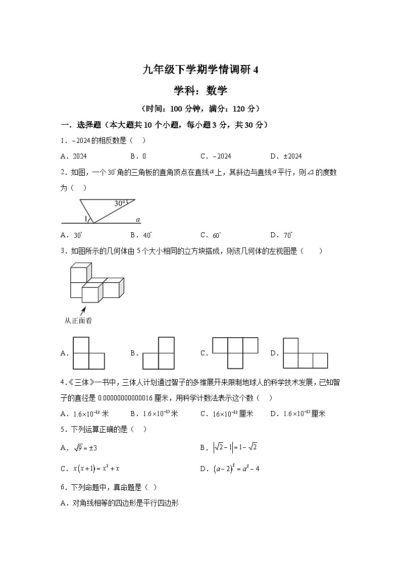 解析版-2024年河南省实验中学九年级第四次中考模拟考试数学试题第1页