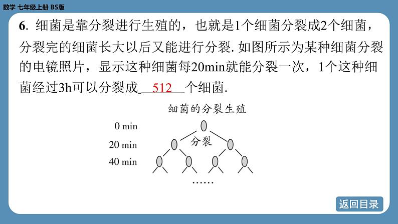 2024-2025学年度北师版七上数学2.4有理数的乘方（第一课时）【课外培优课件】第8页