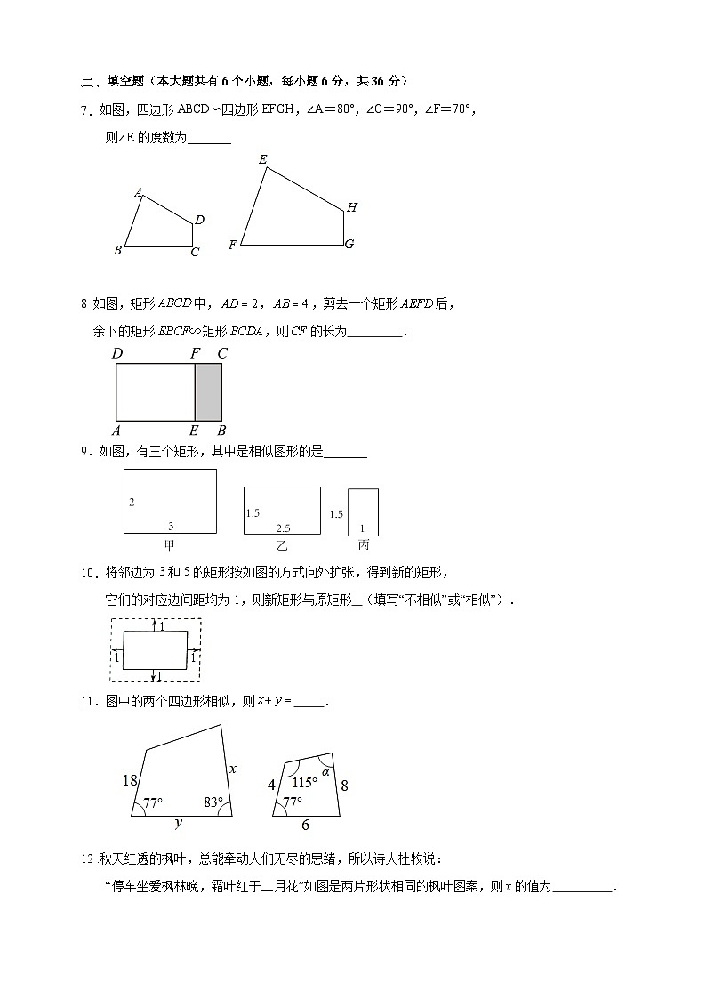 《 4.3相似多边形 》 训练 与 观测第2页