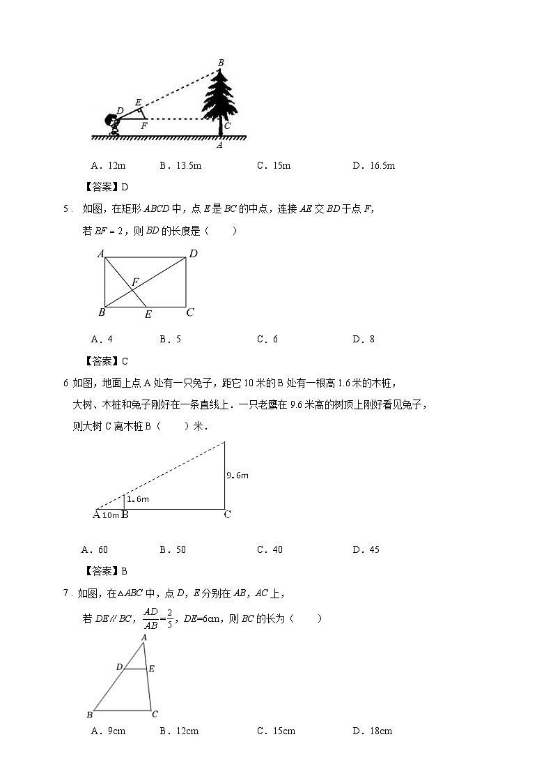4.4探索三角形相似的条件 （一）训练 与 观测 试卷（解答卷）02