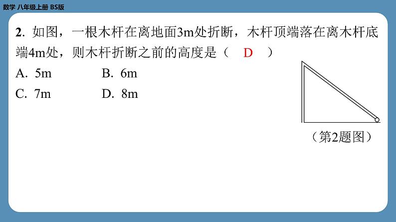 2024-2025学年度北师版八上数学1.1探索勾股定理（第二课时）【课外培优课件】第3页