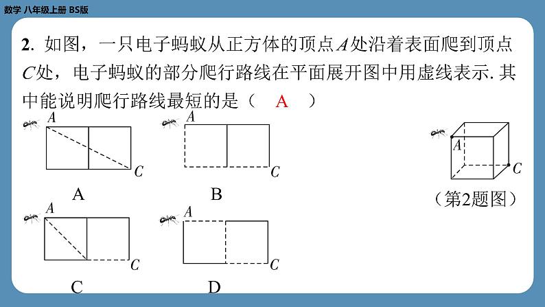 2024-2025学年度北师版八上数学1.3勾股定理的应用【课外培优课件】第3页