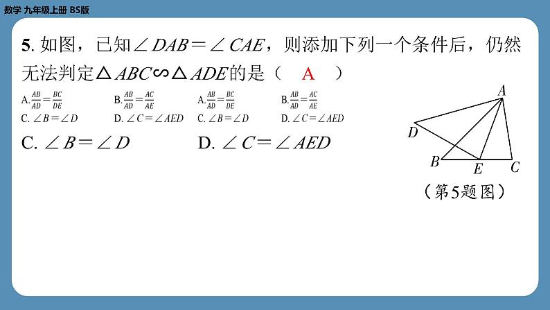 2024-2025学年度北师版九上数学-第十周自主评价练习（期中测评卷）【上课课件】05