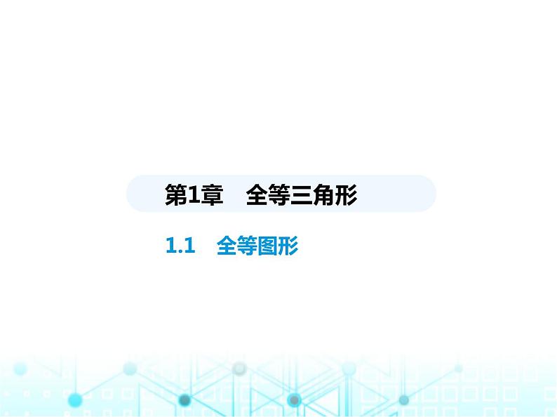 苏科版初中八年级数学上册1-1全等图形课件01