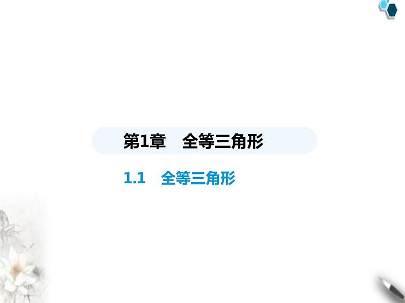 青岛版初中八年级数学上册1-1全等三角形课件第1页