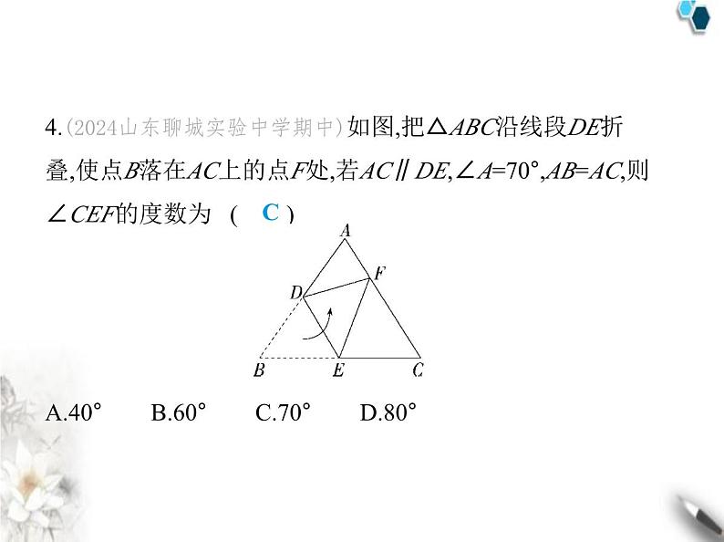 青岛版初中八年级数学上册2-6等腰三角形第1课时等腰三角形的性质课件第7页