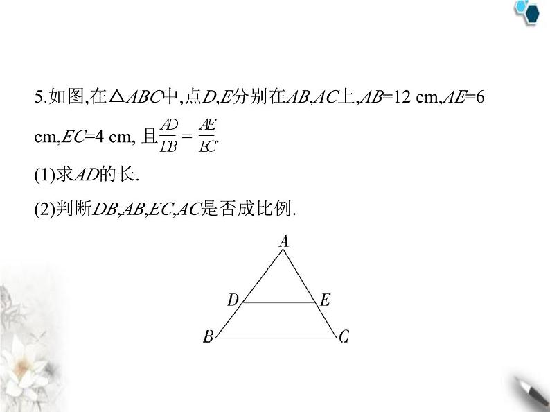 青岛版初中八年级数学上册3-6比和比例第2课时比例线段及连比课件06