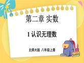 北師數(shù)學(xué)八年級上冊 第二章 1 認(rèn)識無理數(shù) PPT課件