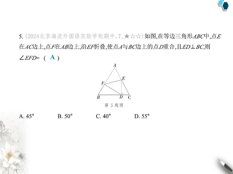 青岛版初中八年级数学上册阶段素养综合测试卷课件08