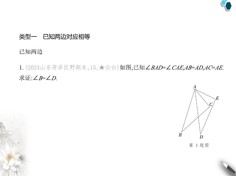 青岛版初中八年级数学上册专项素养巩固训练卷(一)证明全等三角形的三种基本思路课件02