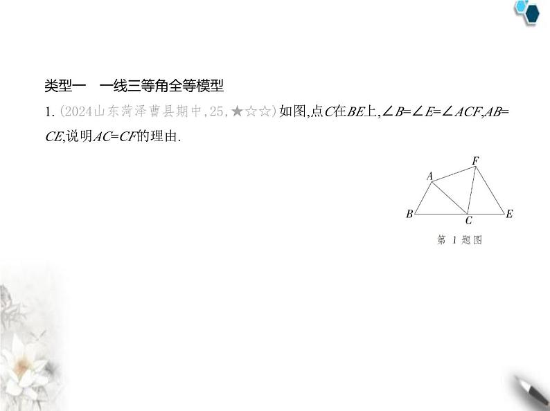 青岛版初中八年级数学上册专项素养巩固训练卷(二)证明三角形全等的五大基本模型课件第2页