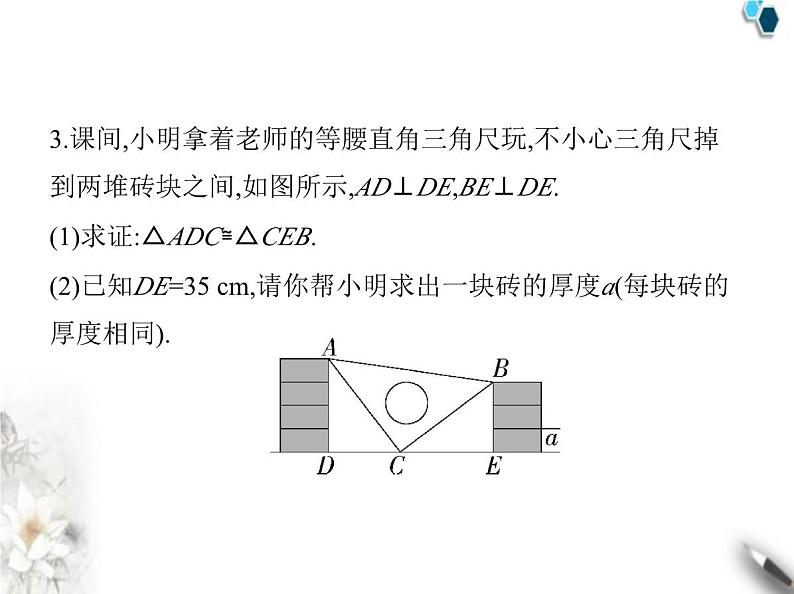 青岛版初中八年级数学上册专项素养综合练(一)与全等三角形相关的四大模型课件06