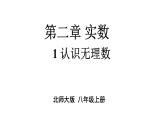 北师版八年级上册数学第二章 实数 1 认识无理数 课件