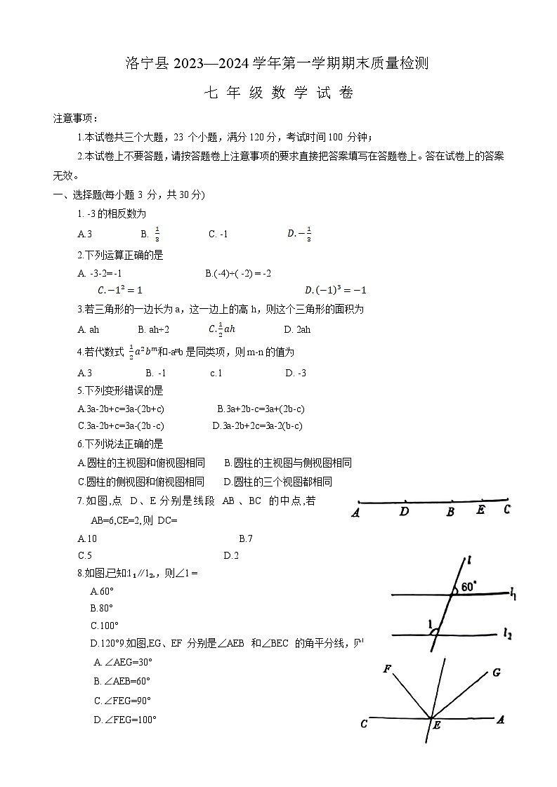 河南省洛阳市洛宁县2023-2024学年七年级上学期期末质量检测数学试卷(含答案)01
