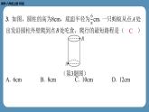 北师版八上数学1.3勾股定理的应用（课外培优课件）