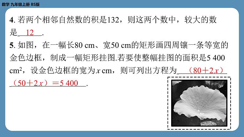 2024-2025学年度北师版九上数学2.3用公式法求解一元二次方程（第二课时）【课外培优课件】第4页