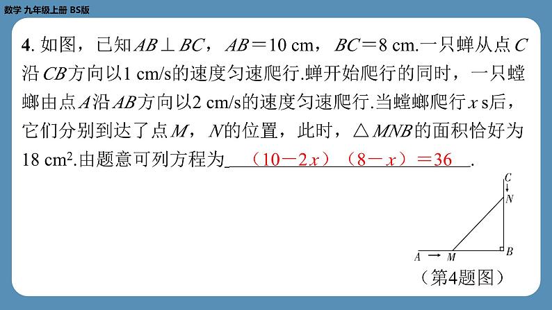 2024-2025学年度北师版九上数学2.6应用一元二次方程（第一课时）【课外培优课件】05