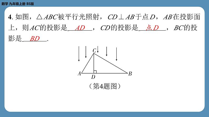 2024-2025学年度北师版九上数学5.1投　影（第二课时）【课外培优课件】04