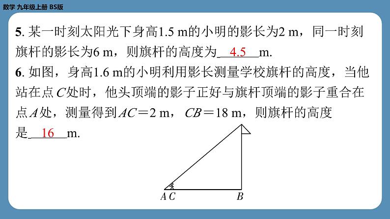 2024-2025学年度北师版九上数学5.1投　影（第二课时）【课外培优课件】05