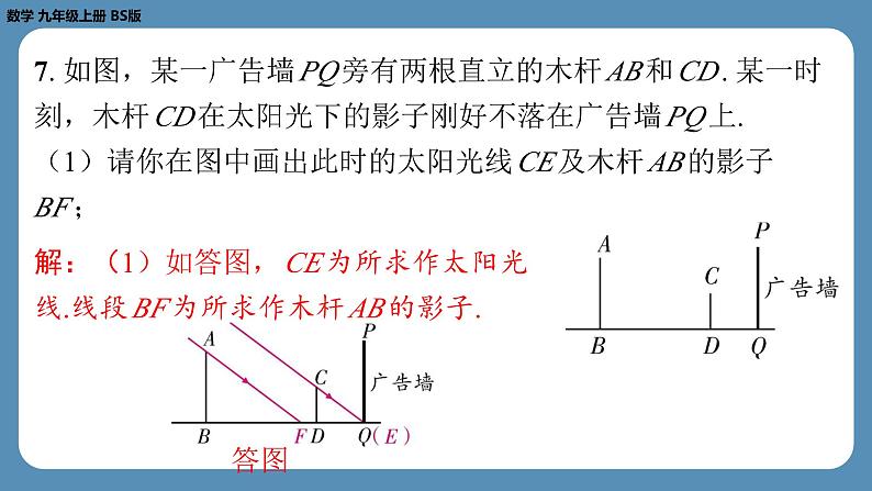 2024-2025学年度北师版九上数学5.1投　影（第二课时）【课外培优课件】06