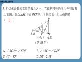 2024-2025学年度北师版九上数学5.1投　影（第一课时）【课外培优课件】
