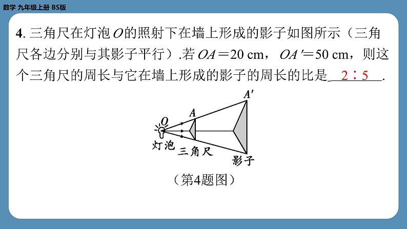 2024-2025学年度北师版九上数学5.1投　影（第一课时）【课外培优课件】05