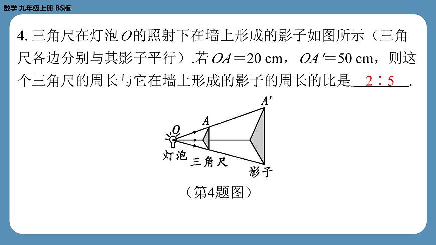 2024-2025学年度北师版九上数学5.1投　影（第一课时）【课外培优课件】第5页