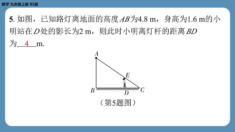 2024-2025学年度北师版九上数学5.1投　影（第一课时）【课外培优课件】06