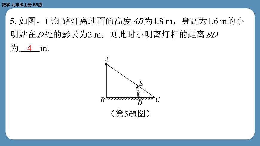2024-2025学年度北师版九上数学5.1投　影（第一课时）【课外培优课件】第6页