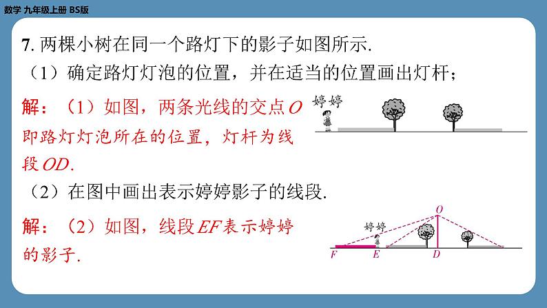 2024-2025学年度北师版九上数学5.1投　影（第一课时）【课外培优课件】08