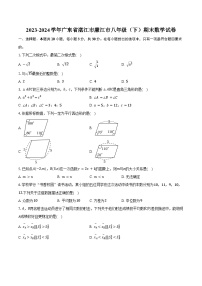 2023-2024学年广东省湛江市廉江市八年级（下）期末数学试卷（含答案）