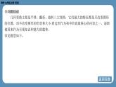 2024-2025学年度北师版九上数学-专题1-矩形、正方形中的四个常考模型【课件】
