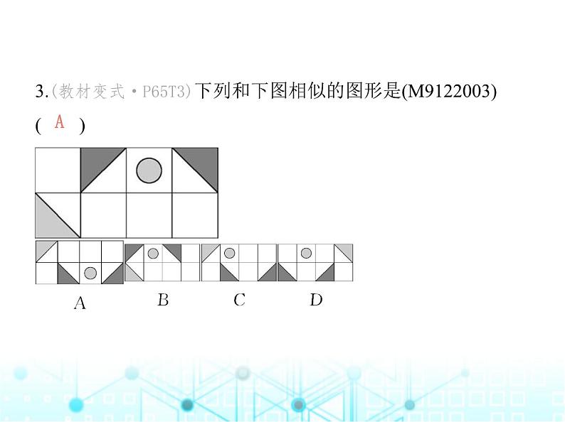 沪科版初中九年级数学上册22-1比例线段第一课时相似图形基础过关练课件第5页