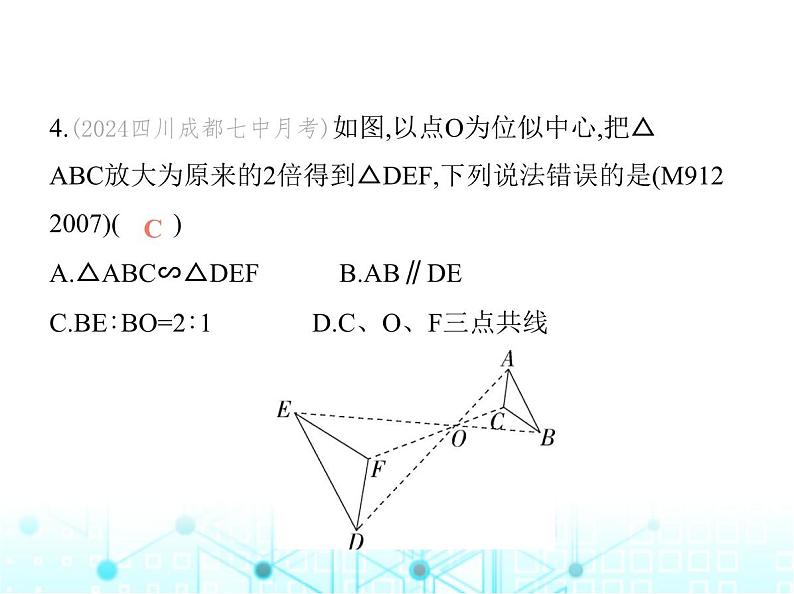 沪科版初中九年级数学上册22-4图形的位似变换第一课时位似图形及其性质基础过关练课件06