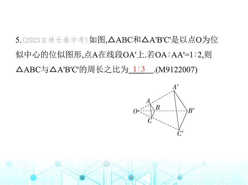 沪科版初中九年级数学上册22-4图形的位似变换第一课时位似图形及其性质基础过关练课件08