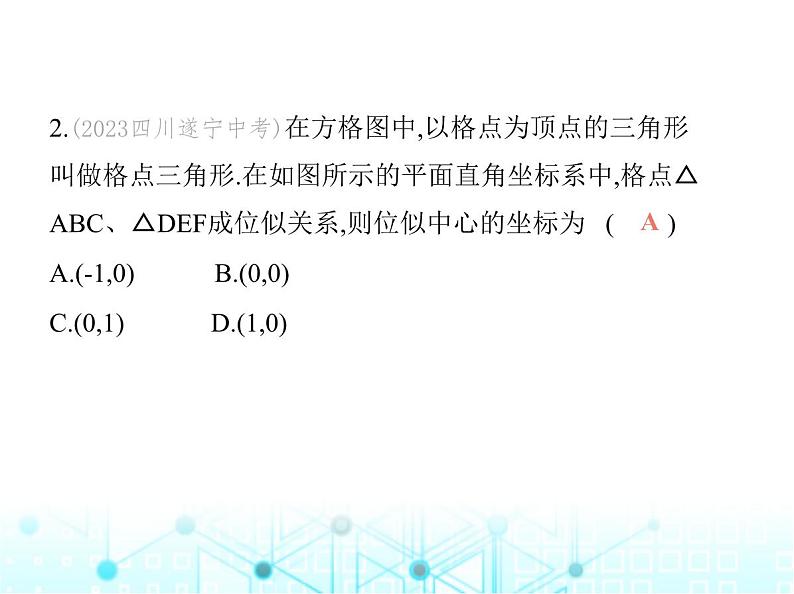 沪科版初中九年级数学上册22-4图形的位似变换第二课时平面直角坐标系中的位似变换基础过关练课件04