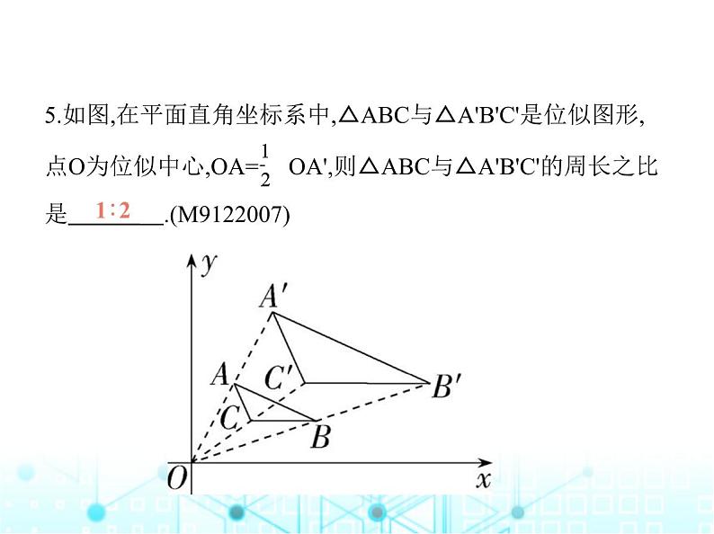 沪科版初中九年级数学上册22-4图形的位似变换第二课时平面直角坐标系中的位似变换基础过关练课件08