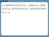 北师版九上数学4.6利用相似三角形测高（课外培优课件）