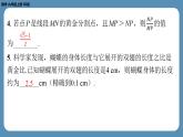 北师版九上数学4.4探索三角形相似的条件（第四课时）（课外培优课件）